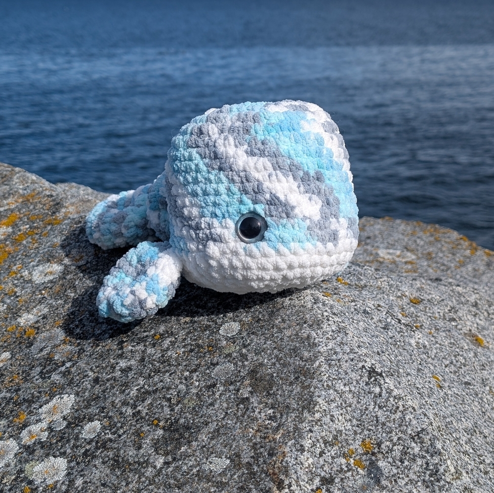 Soft cuddly Humpback Whale